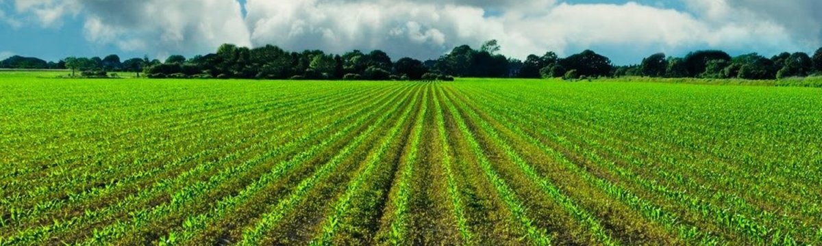 Farms | Terra Biotics