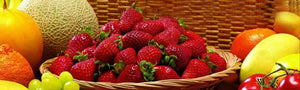 Fruit/Berries | Terra Biotics