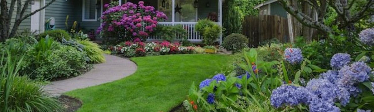 Shop Organic Fertilizers for Yard & Landscaping | Terra Biotics