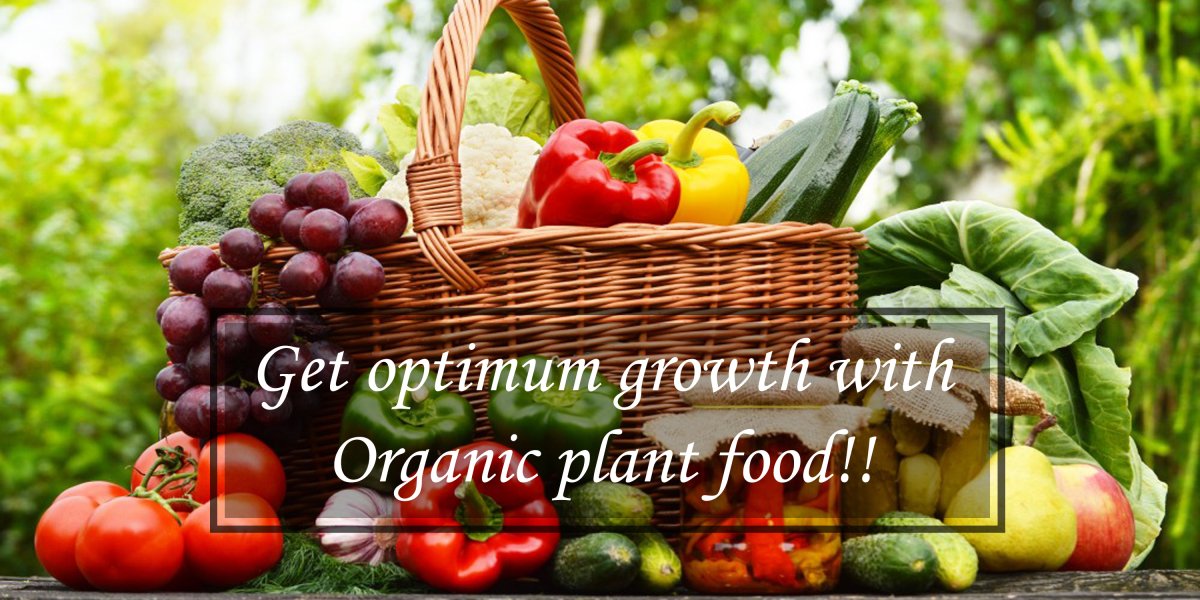 Terra Biotics - High Grade Organic Plant Nutrients & Biologicals