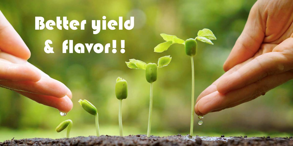 Terra Biotics - High Grade Organic Plant Nutrients & Biologicals