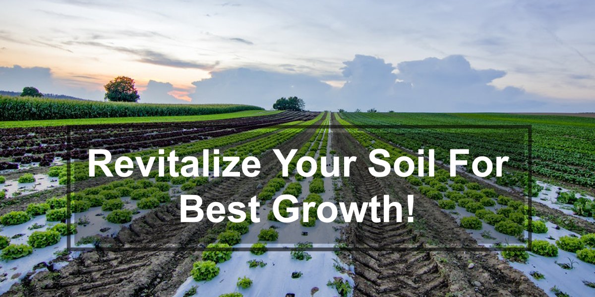 High Grade Organic Plant Nutrients & Biologicals - Terra Biotics